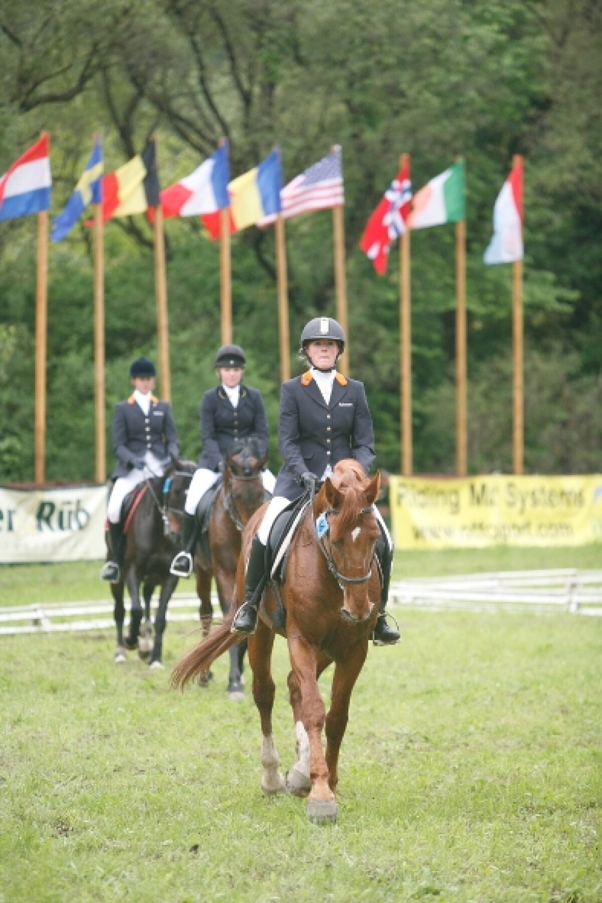 Transylvania Horse Show - Pregătirile pentru Campionatele Balcanice au intrat în linie dreaptă