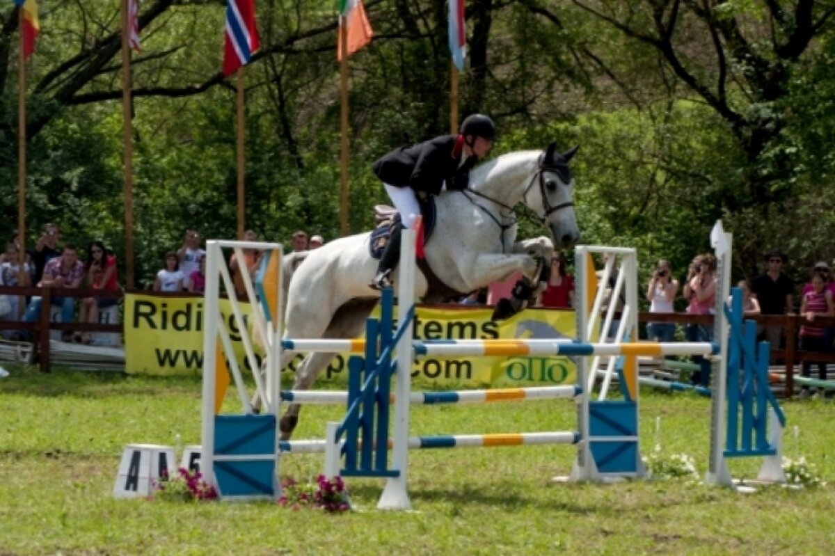 Transylvania Horse Show - Pregătirile pentru Campionatele Balcanice au intrat în linie dreaptă