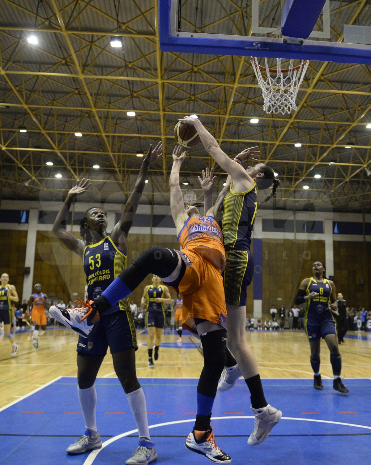 GALERIE FOTO ICIM Arad a cîştigat titlul la baschet feminin!