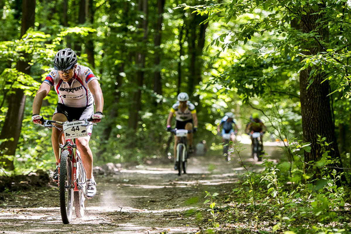 Competiţii pentru toată lumea » Cele mai importante întreceri sportive ale următoarei săptămîni