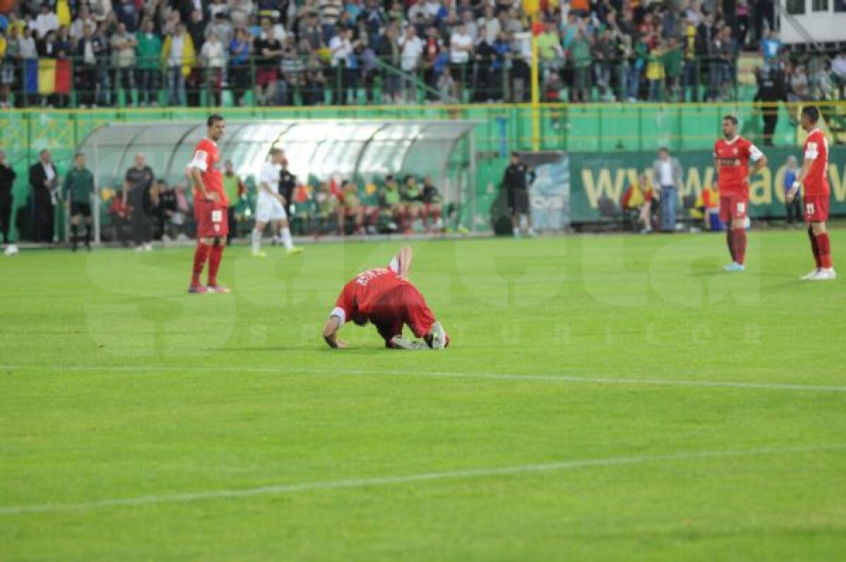 VIDEO+FOTO 7 la rînd » Vasluiul îngenunchează din nou Dinamo, 4-1, şi Europa mai e doar un vis pentru "cîini"