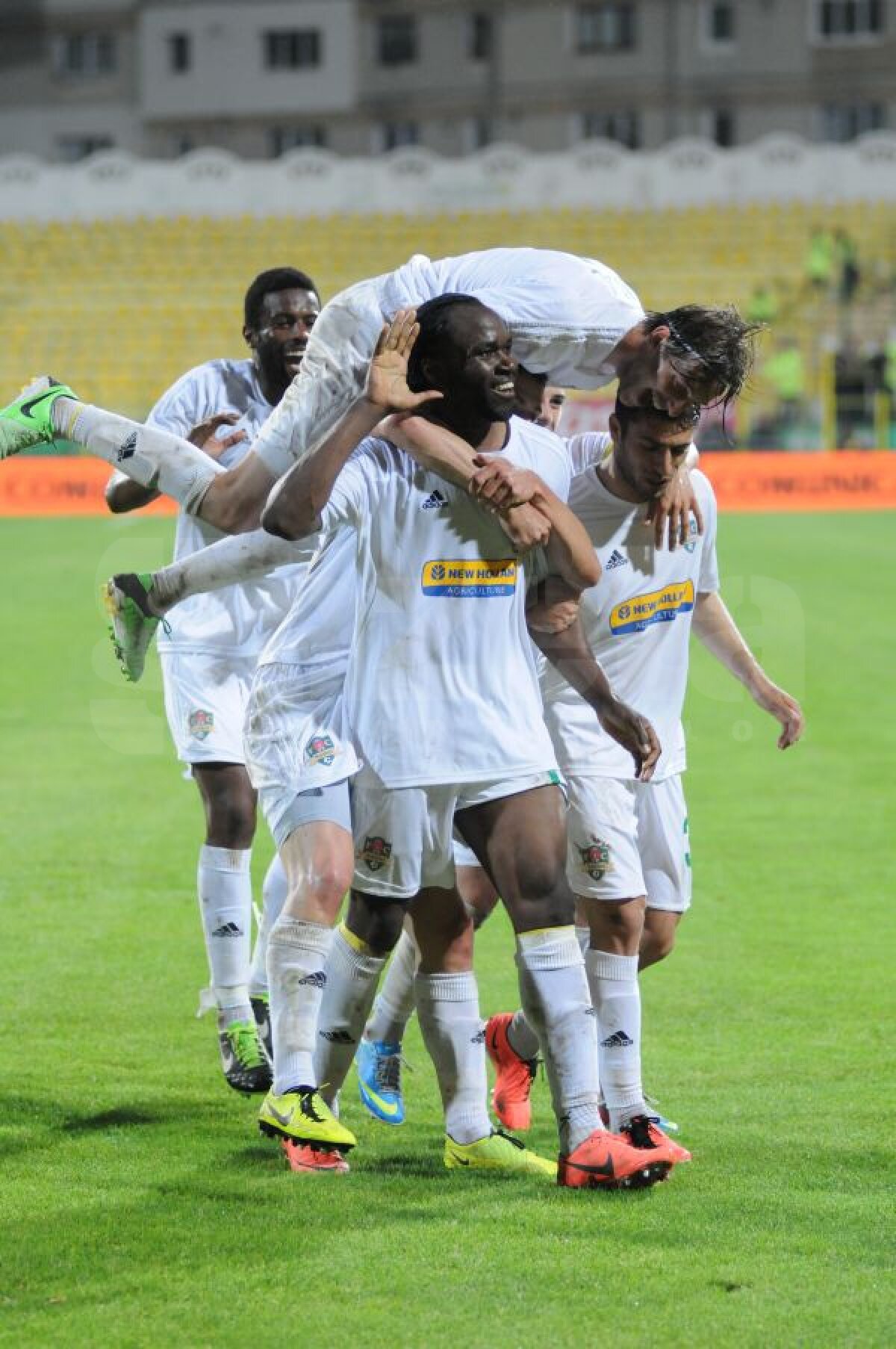 VIDEO+FOTO 7 la rînd » Vasluiul îngenunchează din nou Dinamo, 4-1, şi Europa mai e doar un vis pentru "cîini"