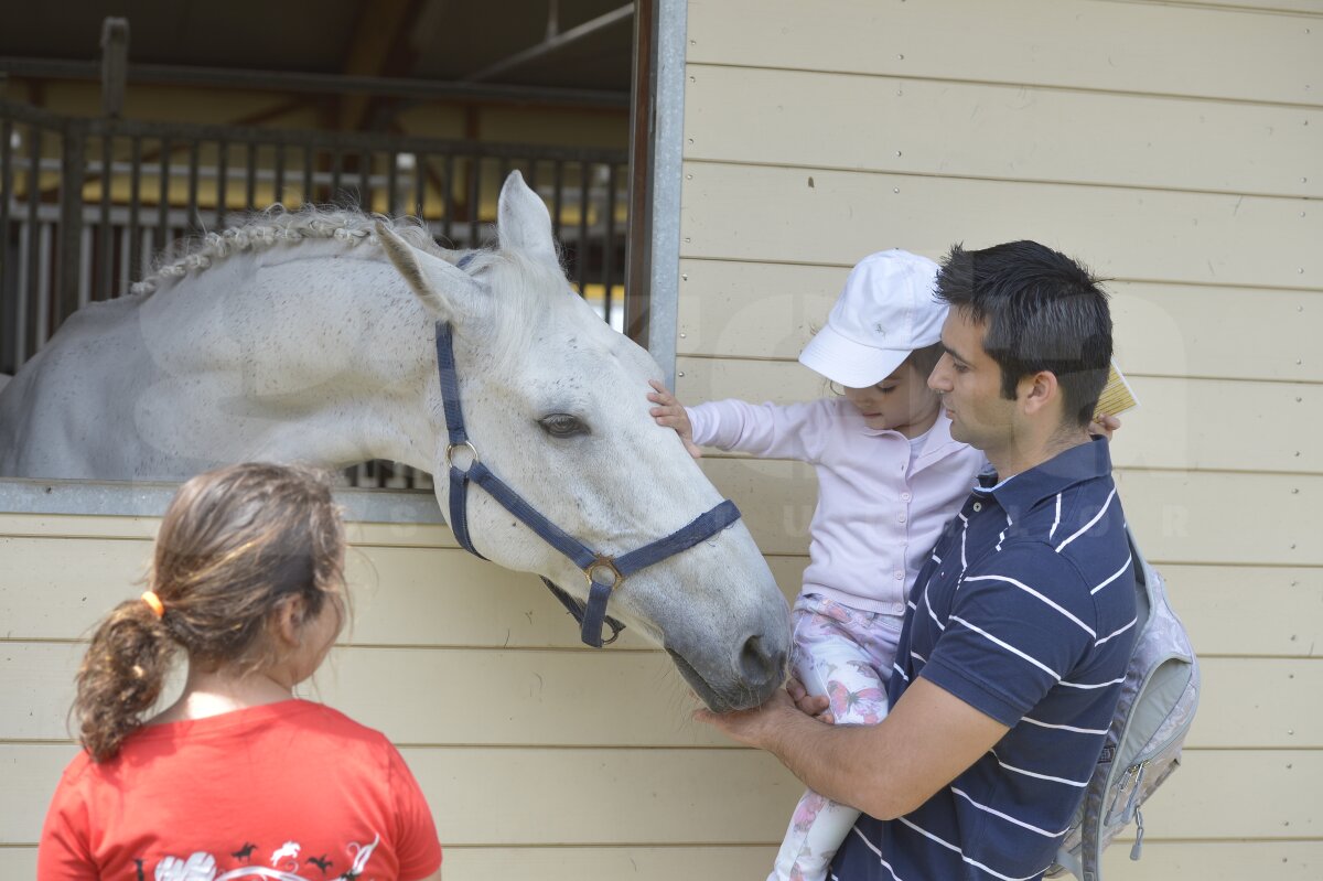 Fiica lui Victor Becali, cîştigătoare la FEI - Longines Grand Prix