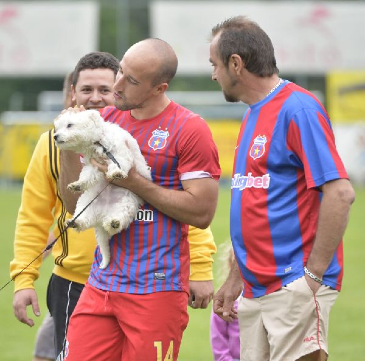 FOTO Cum au jucat steliştii cu Rubin, 0-0 » Mihai Răduţ a impresionat la revenirea în tricoul roş-albastru