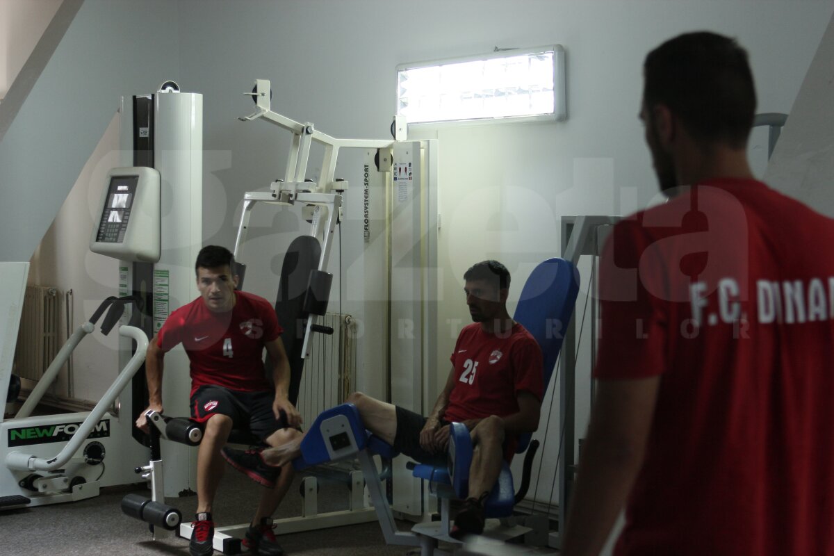 FOTO ”Cîinii” rup aparatele-n două!