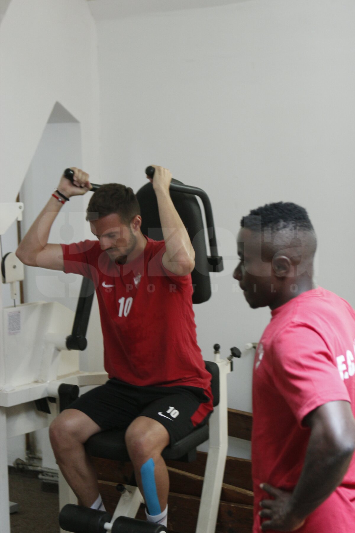 FOTO ”Cîinii” rup aparatele-n două!