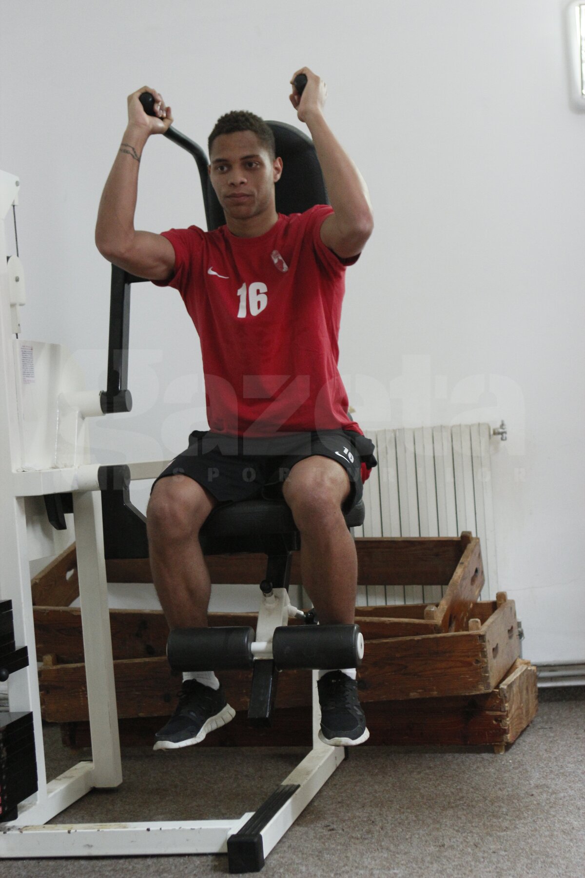 FOTO ”Cîinii” rup aparatele-n două!