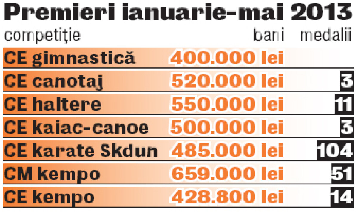 Iau jumătate din banii pe un an întreg » Artele marţiale şi karatele sînt premiate cît restul sportului românesc la un loc