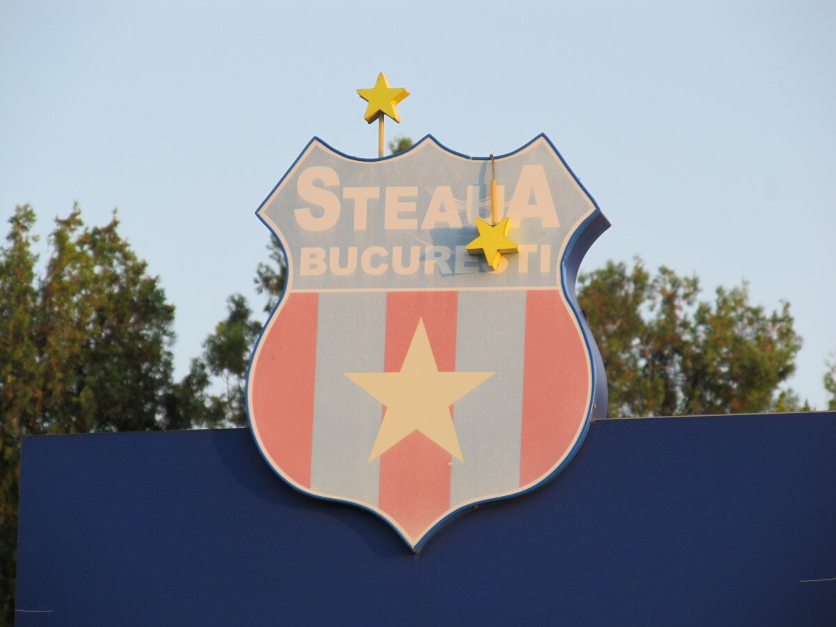 FOTO Armata dărîmă "Templul" » Stadionul Ghencea arată ca o ruină: buruieni, viespi şi o imagine dezolantă