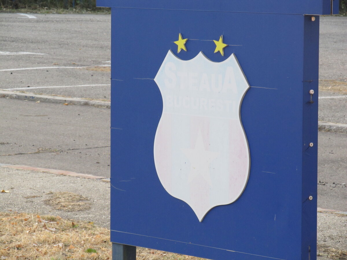 FOTO Armata dărîmă "Templul" » Stadionul Ghencea arată ca o ruină: buruieni, viespi şi o imagine dezolantă