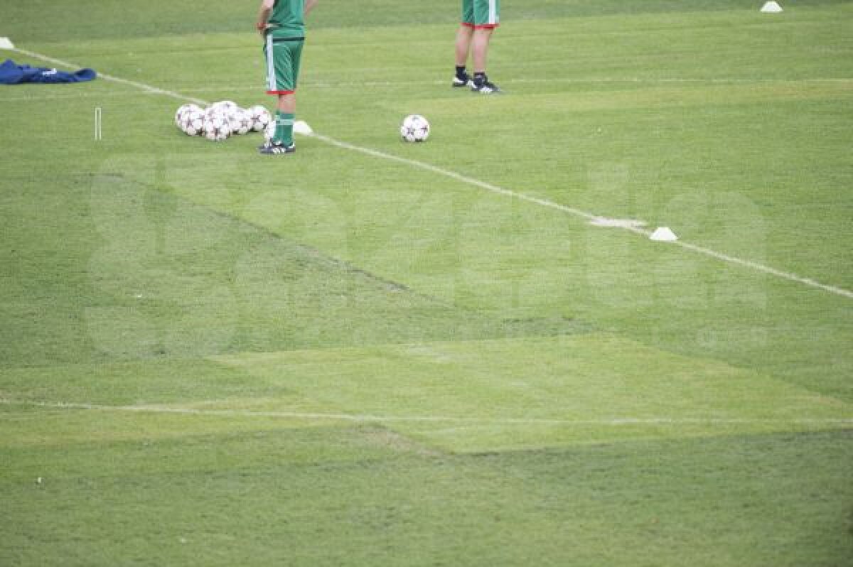 FOTO Bine aţi venit pe Cîmp Arena! » Gazonul arată execrabil înainte de Steaua - Legia