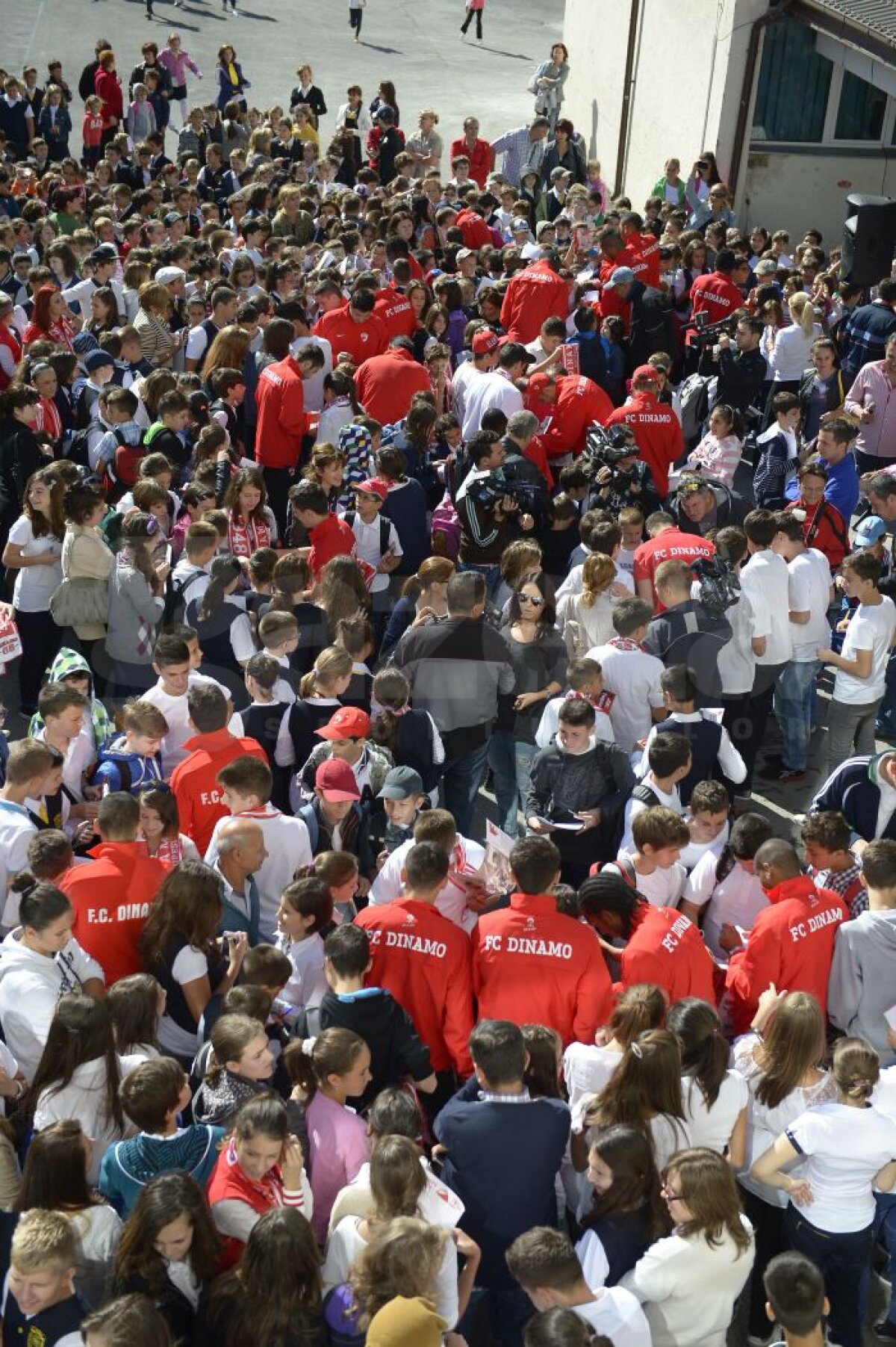 "Ora de Dinamo" a avut un nou episod » UPDATE / Mulţescu a avut un idol stelist: "Îi susţin şi în meciul de diseară"