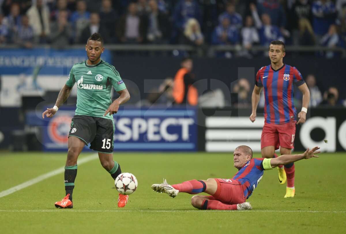 FOTO şi VIDEO Schalke - Steaua 3-0 » Roş-albaştrii au pierdut categoric primul meci din grupele CL