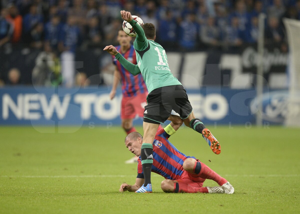 FOTO şi VIDEO Schalke - Steaua 3-0 » Roş-albaştrii au pierdut categoric primul meci din grupele CL