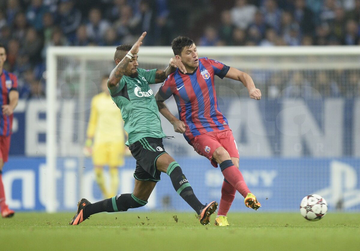 FOTO şi VIDEO Schalke - Steaua 3-0 » Roş-albaştrii au pierdut categoric primul meci din grupele CL