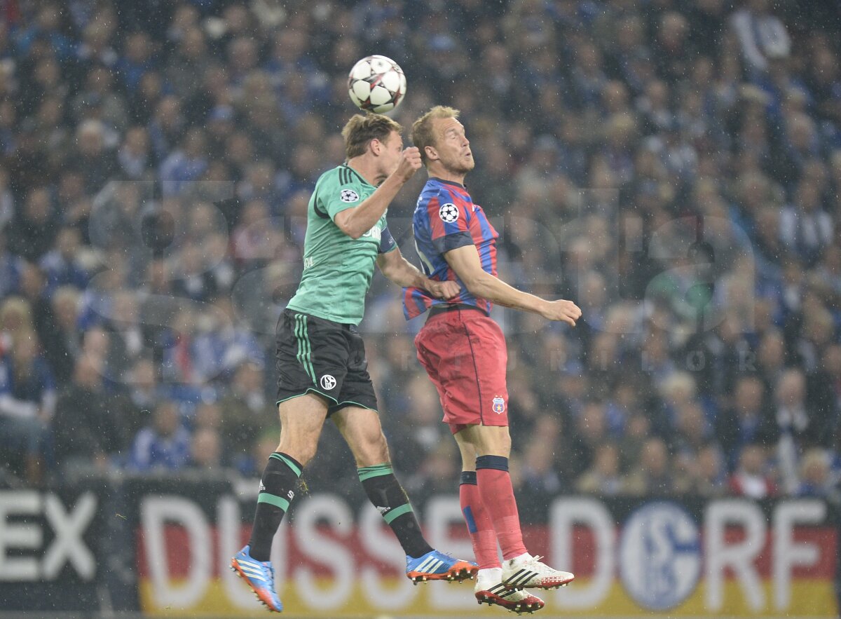 FOTO şi VIDEO Schalke - Steaua 3-0 » Roş-albaştrii au pierdut categoric primul meci din grupele CL