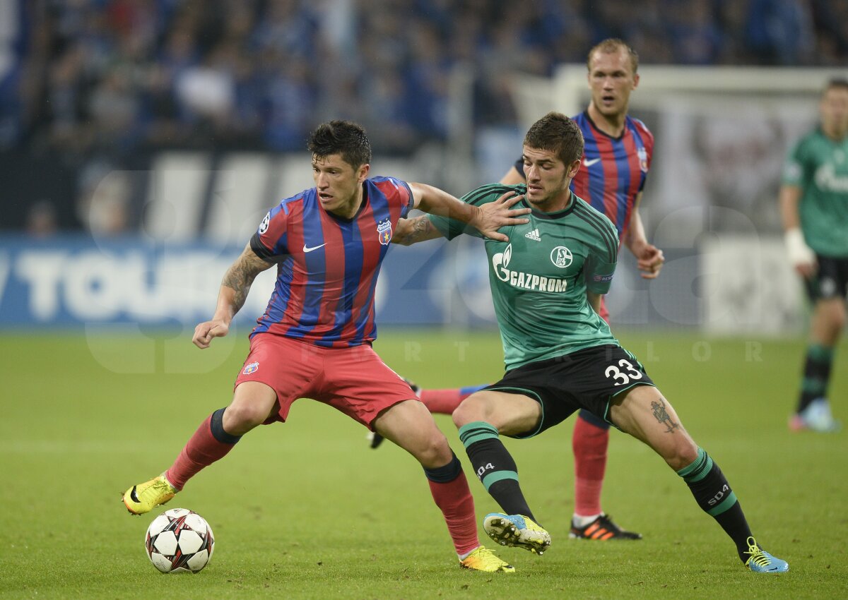 FOTO şi VIDEO Schalke - Steaua 3-0 » Roş-albaştrii au pierdut categoric primul meci din grupele CL