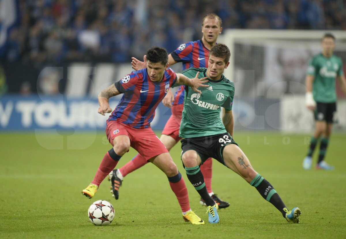 FOTO şi VIDEO Schalke - Steaua 3-0 » Roş-albaştrii au pierdut categoric primul meci din grupele CL