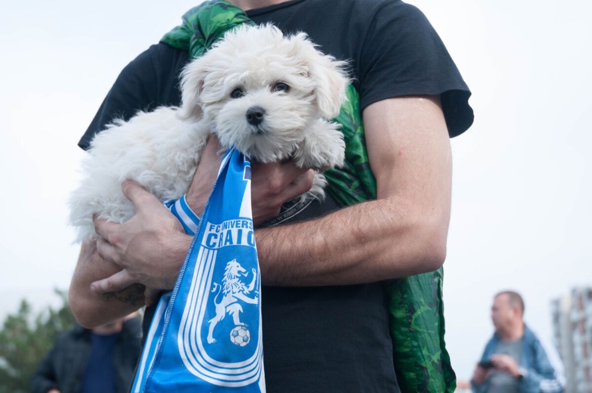 FOTO Dărîmat! » Mititelu a cedat nervos după ce nu a reuşit nici ieri să pătrundă pe Ion Oblemenco. Urmează noi procese