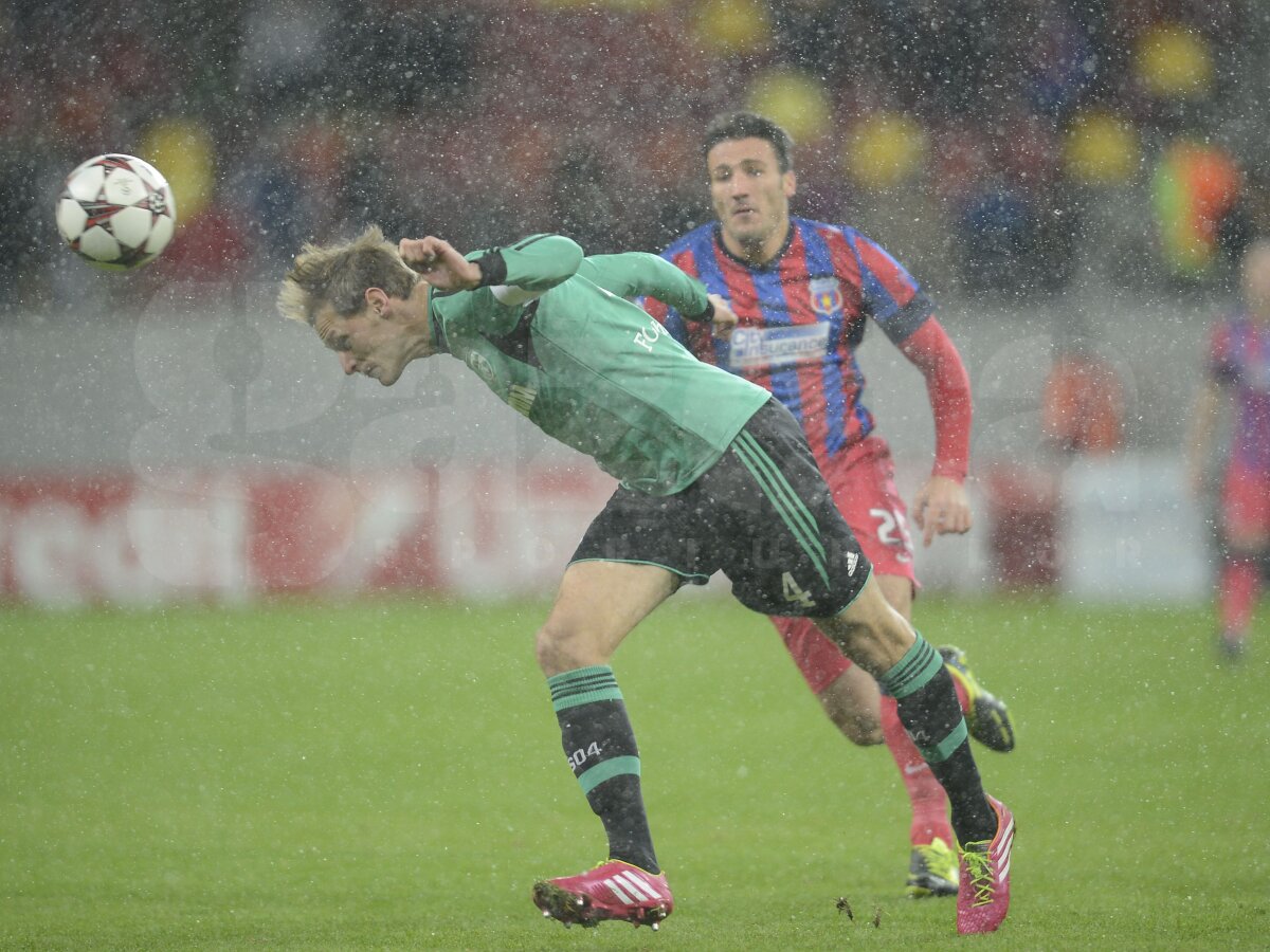 VIDEO şi FOTO Afară din Europa! Steaua, doar egal cu Schalke, 0-0 » Basel a învins-o din nou pe Chelsea
