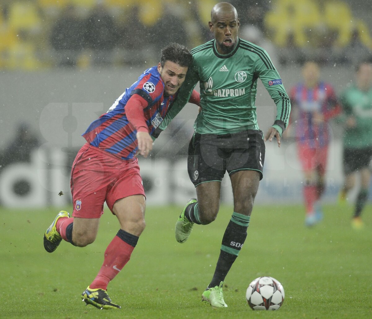 VIDEO şi FOTO Afară din Europa! Steaua, doar egal cu Schalke, 0-0 » Basel a învins-o din nou pe Chelsea