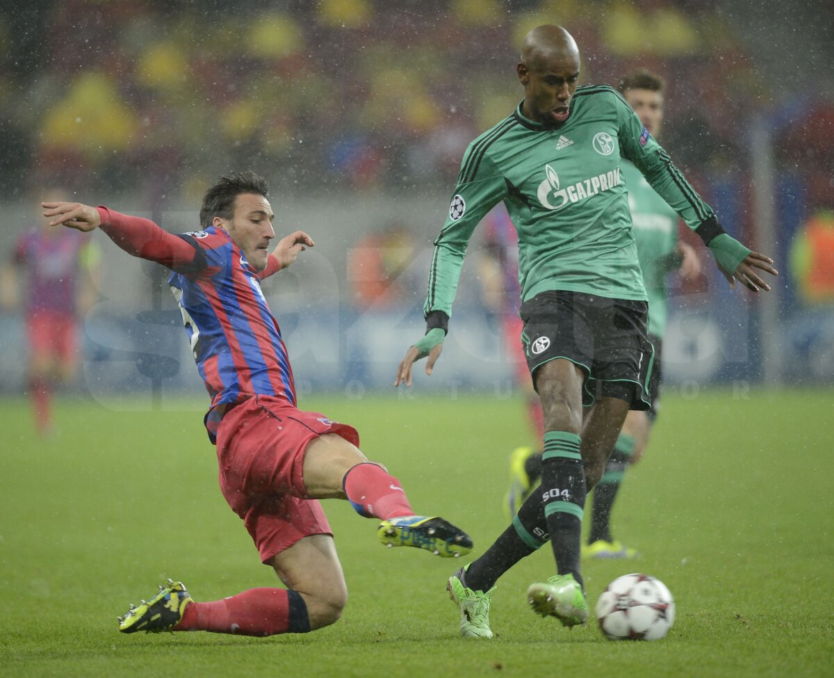 VIDEO şi FOTO Afară din Europa! Steaua, doar egal cu Schalke, 0-0 » Basel a învins-o din nou pe Chelsea