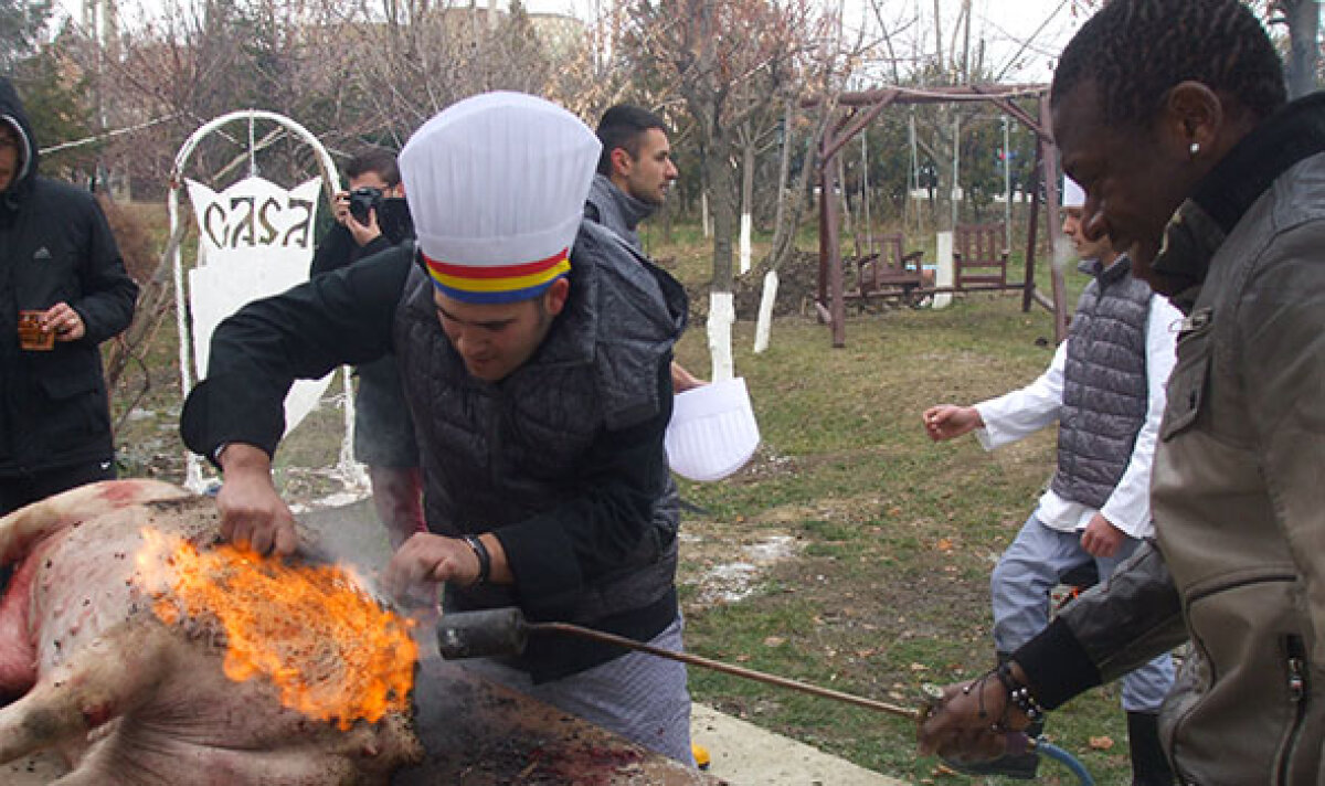 FOTO şi VIDEO Petroliştii au sărbătorit terminarea turului în cel mai pur stil românesc » "Pomana porcului" cu Boudjemaa şi Hamza :)