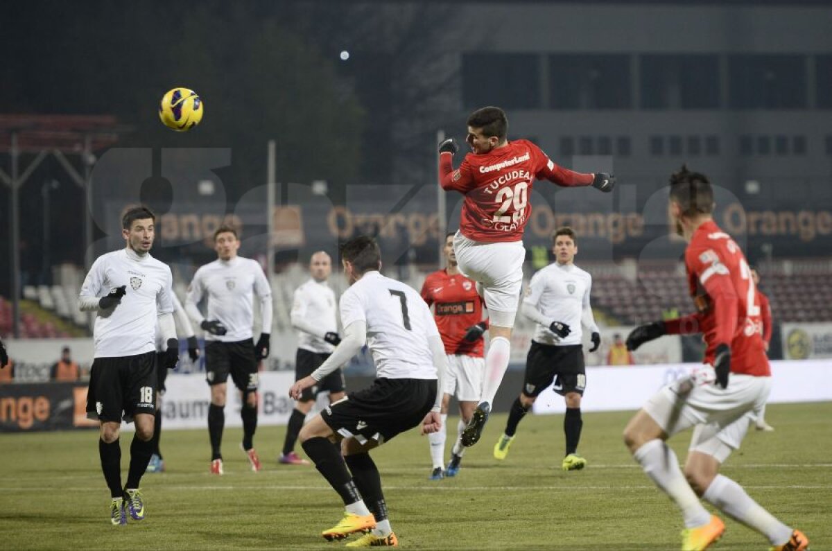 FOTO&VIDEO "Cîinii" ştiu să facă şi spectacol » Dinamo - ACS Poli 4-0 şi echipa lui Stoican are 4 victorii consecutive în Liga 1