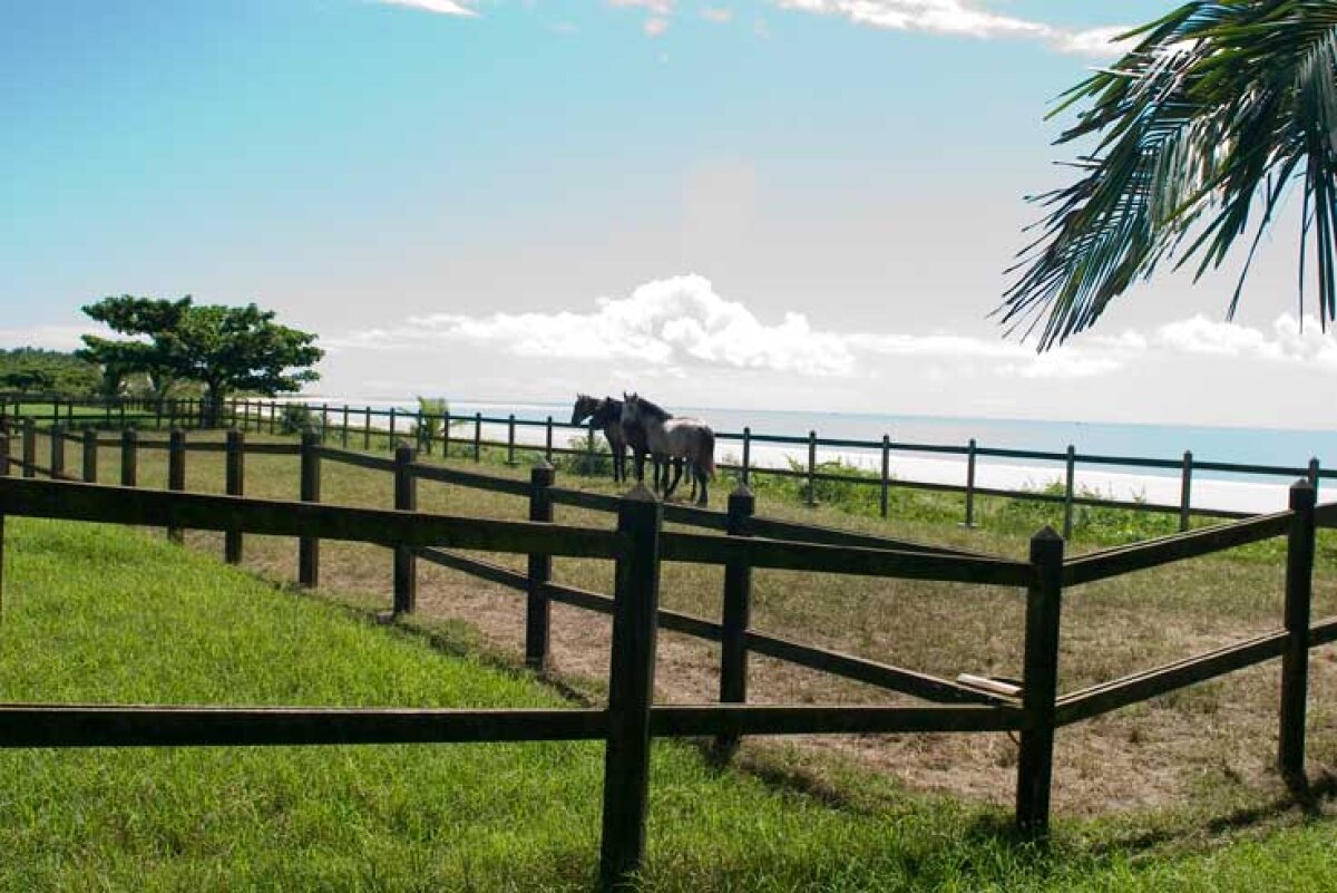 GALERIE FOTO Germania schimbă moda cantonamentelor la Mondiale » Cum se vor pregăti pentru competiţia din Brazilia