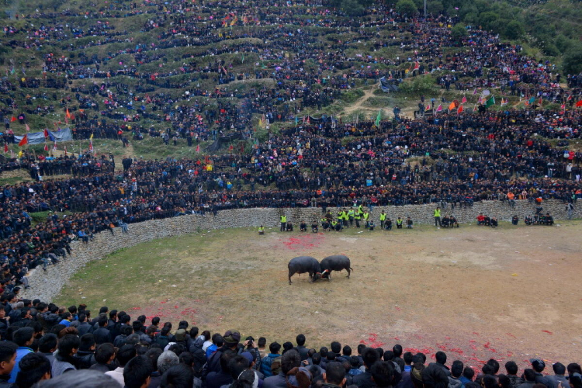 GALERIE FOTO Absolut superb! Top 30 - cele mai tari fotografii ale anului 2013 în sport