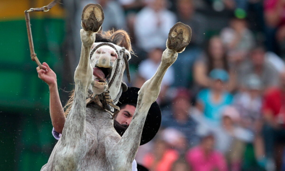 GALERIE FOTO Absolut superb! Top 30 - cele mai tari fotografii ale anului 2013 în sport