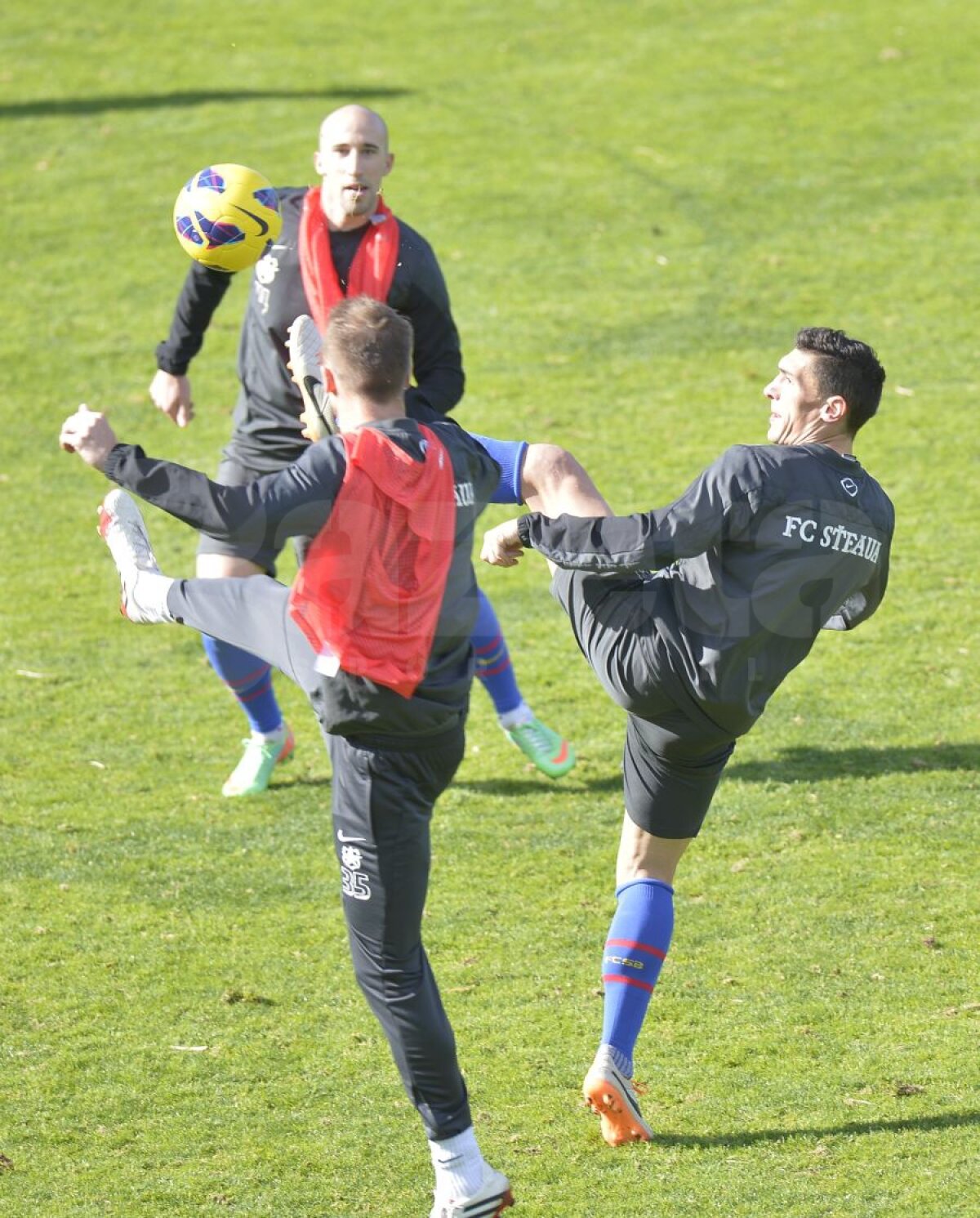 GALERIE FOTO Veşti bune pentru Laurenţiu Reghecampf » Prima zi fără probleme în Spania! A avut toate vedetele la antrenament