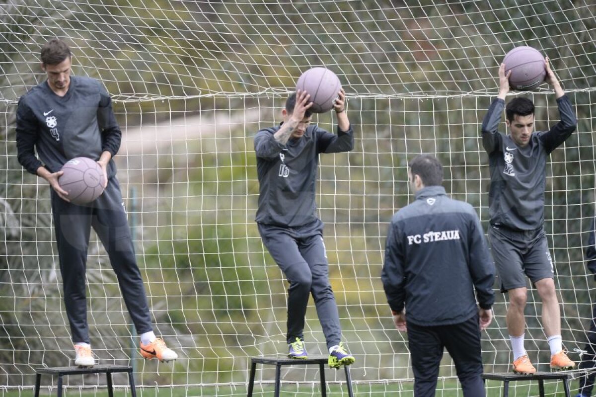 GALERIE FOTO Noi exerciţii de forţă la antrenamentele Stelei » Mîine, un nou amical