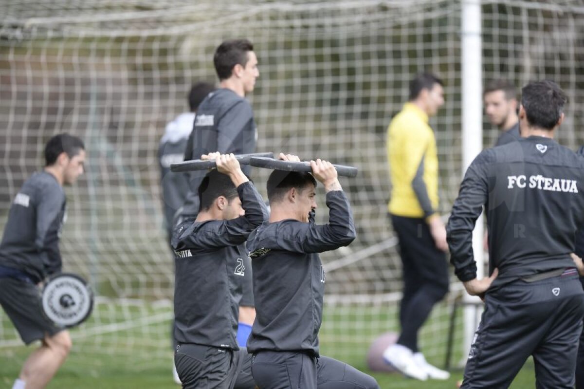 GALERIE FOTO Noi exerciţii de forţă la antrenamentele Stelei » Mîine, un nou amical