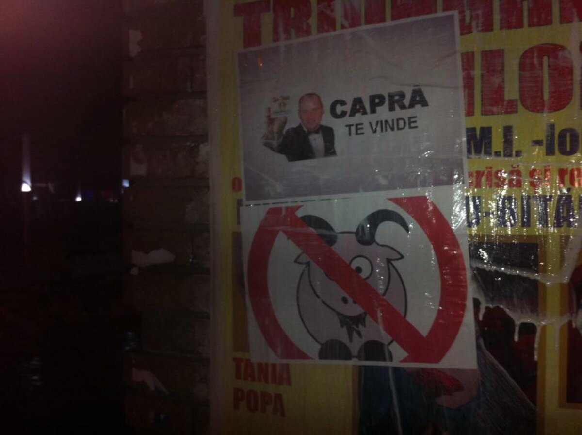 GALERIE FOTO Nu mai este dorit la Petrolul » Fanii au împînzit Ploieştiul cu sute de mesaje anti-Capră!