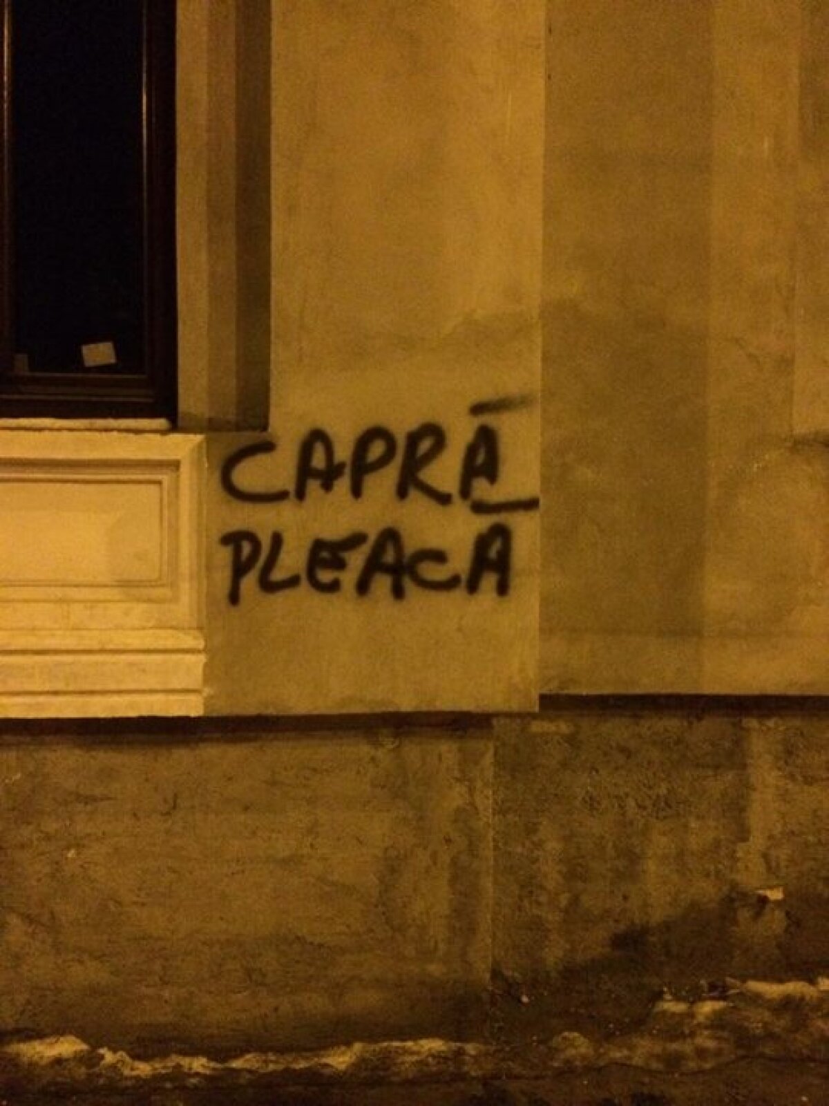 GALERIE FOTO Nu mai este dorit la Petrolul » Fanii au împînzit Ploieştiul cu sute de mesaje anti-Capră!