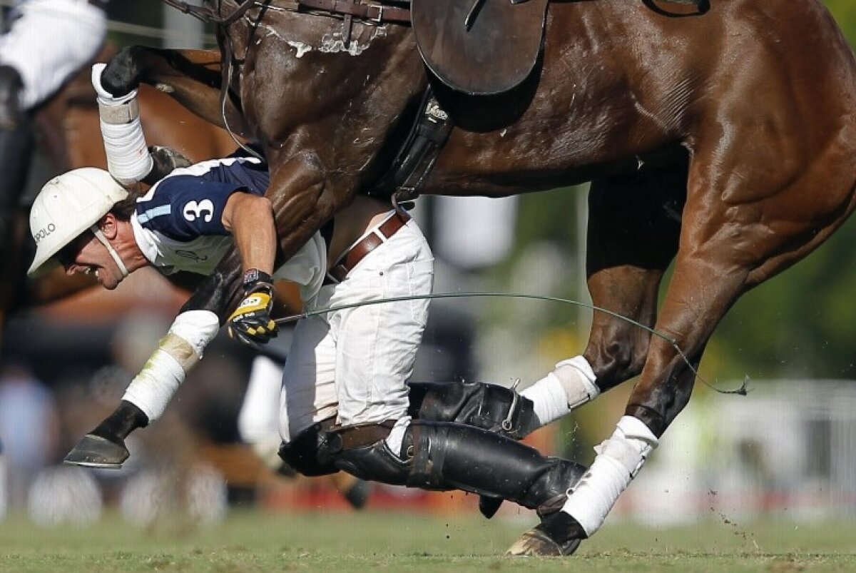 GALERIE FOTO Au fost desemnate cele mai tari fotografii din sport în 2013 » Imagini de colecţie surprinse de cei mai tari fotoreporteri