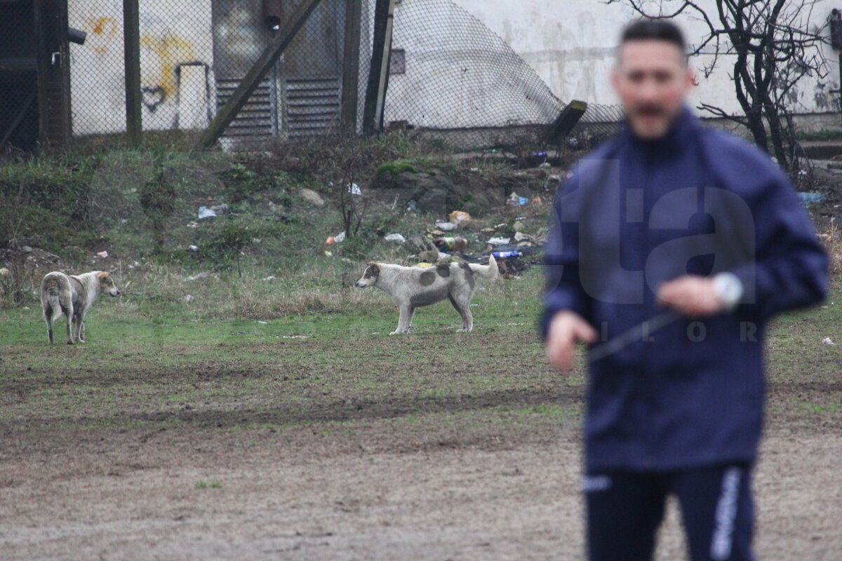 FOTO Ştiinţa a ajuns să se antreneze în noroi, prin bălţi şi supravegheată de cîini vagabonzi