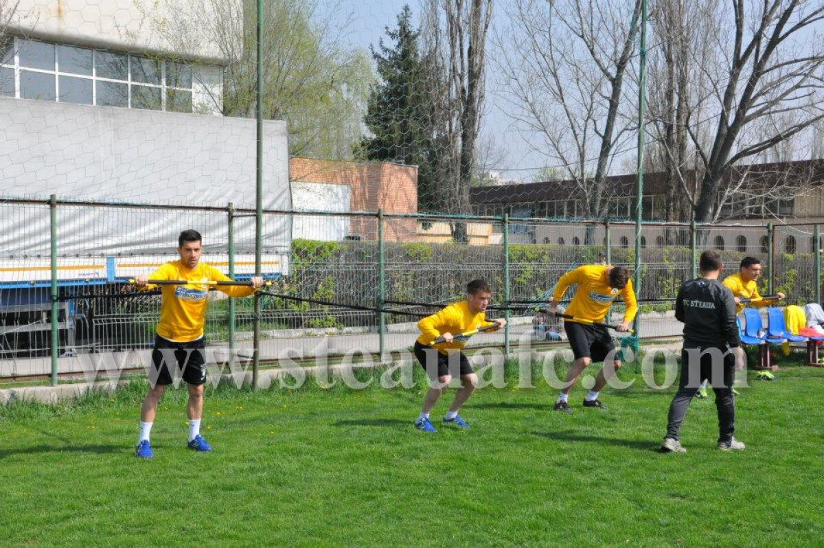 GALERIE FOTO Din secretele steliştilor » Thomas Neubert i-a "înhămat" pe jucători la un nou tip de antrenament