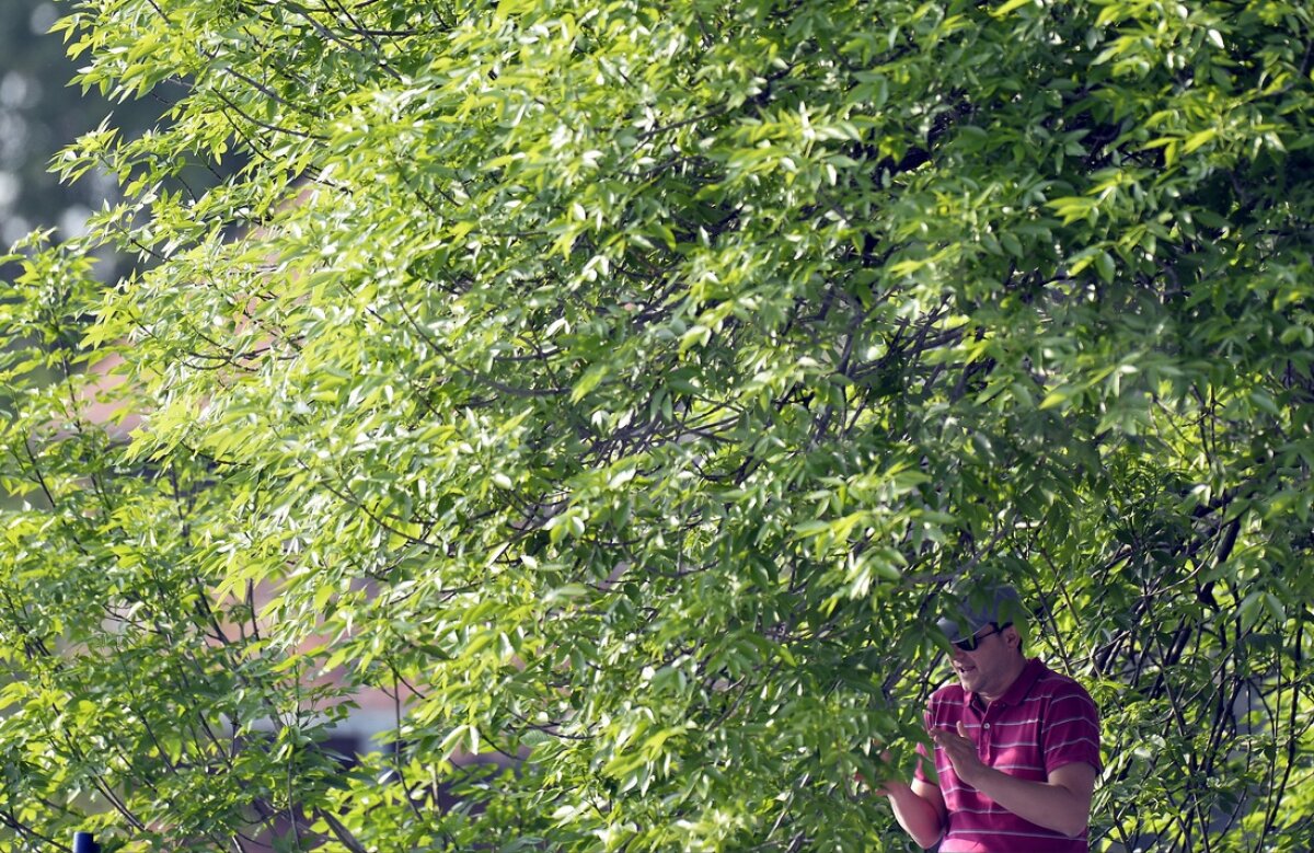 GALERIE FOTO 10 imagini spectaculoase din primele două zile de la BRD Năstase-Ţiriac!