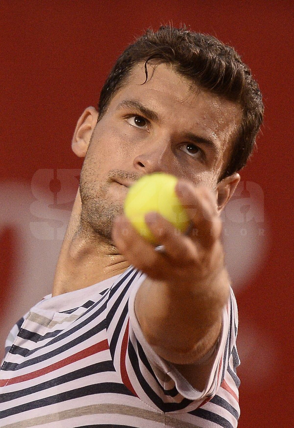 FOTO Grigor Dimitrov s-a calificat în semifinale la BRD Năstase-Ţiriac Trophy » Urmează confruntarea cu Gael Monfils!