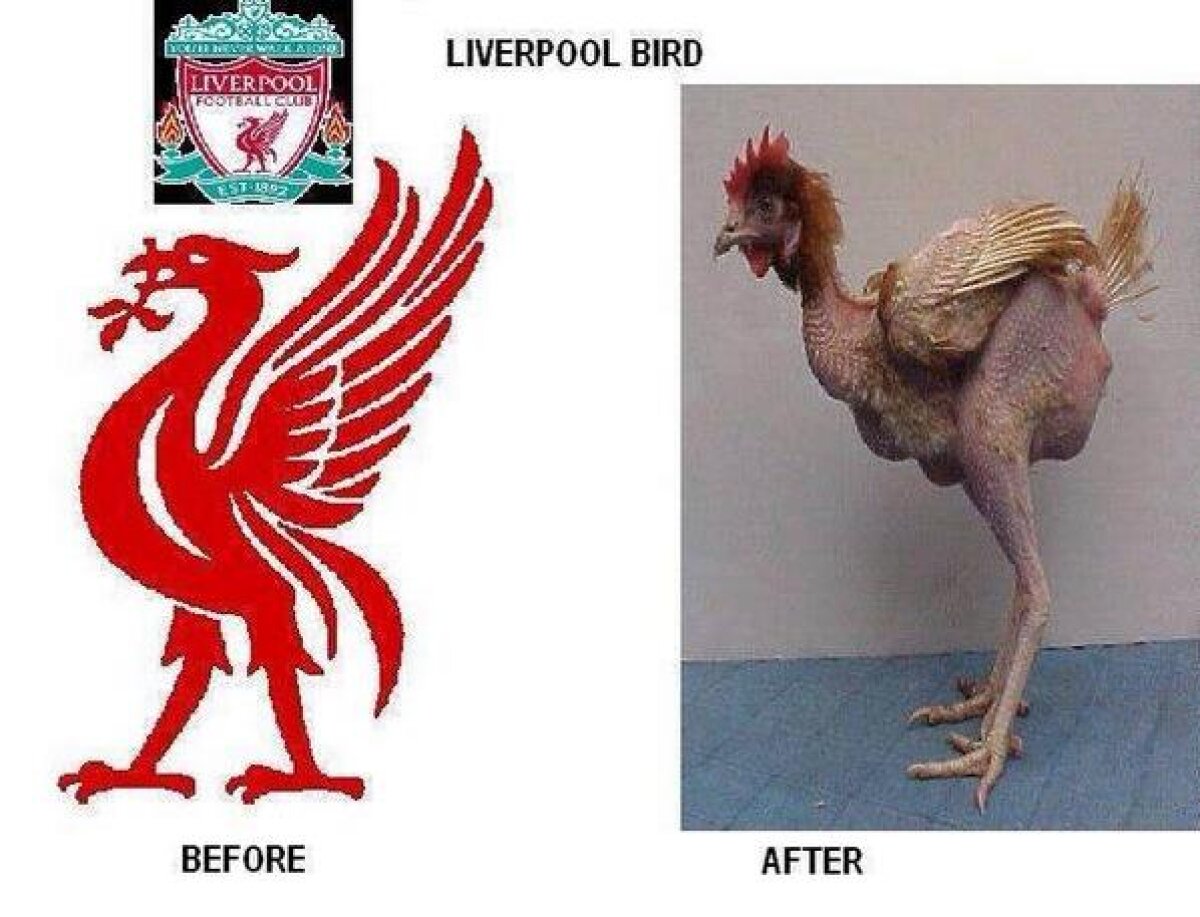 FOTO Cele mai tari glume după ce Liverpool a pierdut în faţa rezervelor lui Chelsea