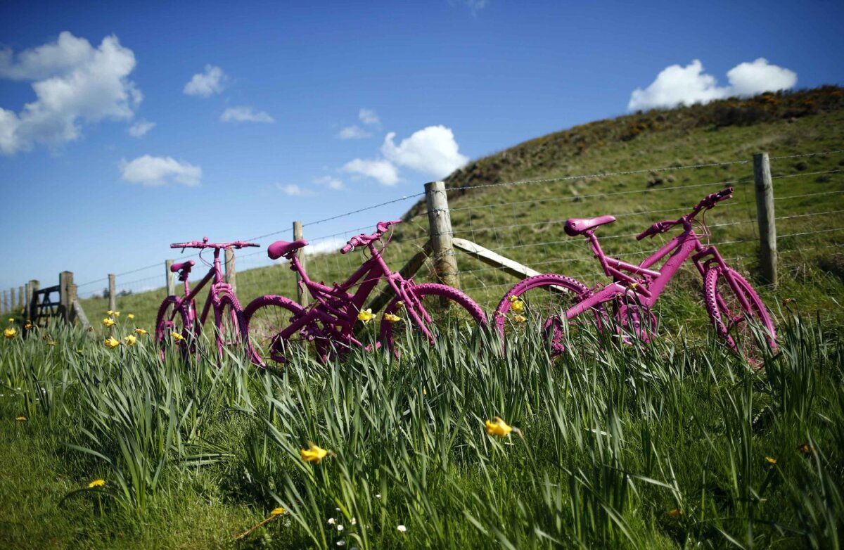 Trifoiul şi oaia roz » Start în cea de-a 97-a ediţie a Turului Italiei: cursa începe de la Belfast