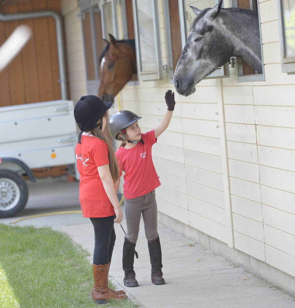 Oprea a adus spioni în locul cailor! » Secţia de hipism a clubului Steaua se află aproape de desfiinţare