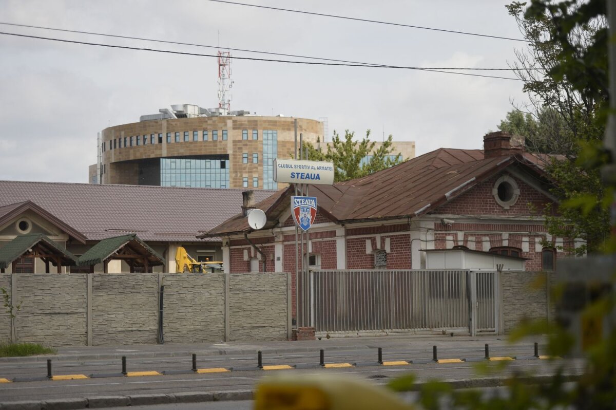 Oprea a adus spioni în locul cailor! » Secţia de hipism a clubului Steaua se află aproape de desfiinţare