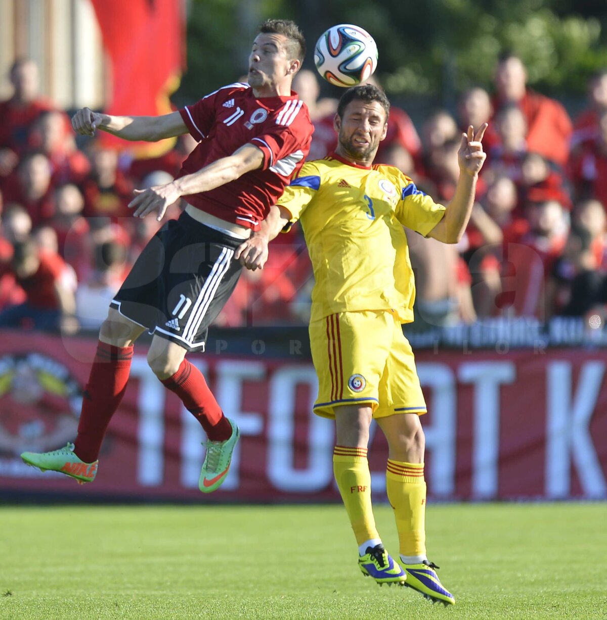 VIDEO şi FOTO România - Albania 1-0 » Răzvan Raţ aduce o victorie chinuită a "tricolorilor"