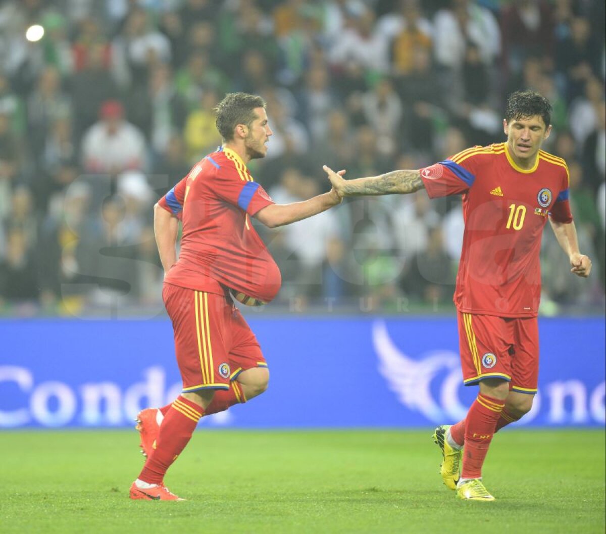 FOTO + VIDEO Înfrîngere în ultimul amical al României! » Algeria cîştigă după două gafe ale "tricolorilor"