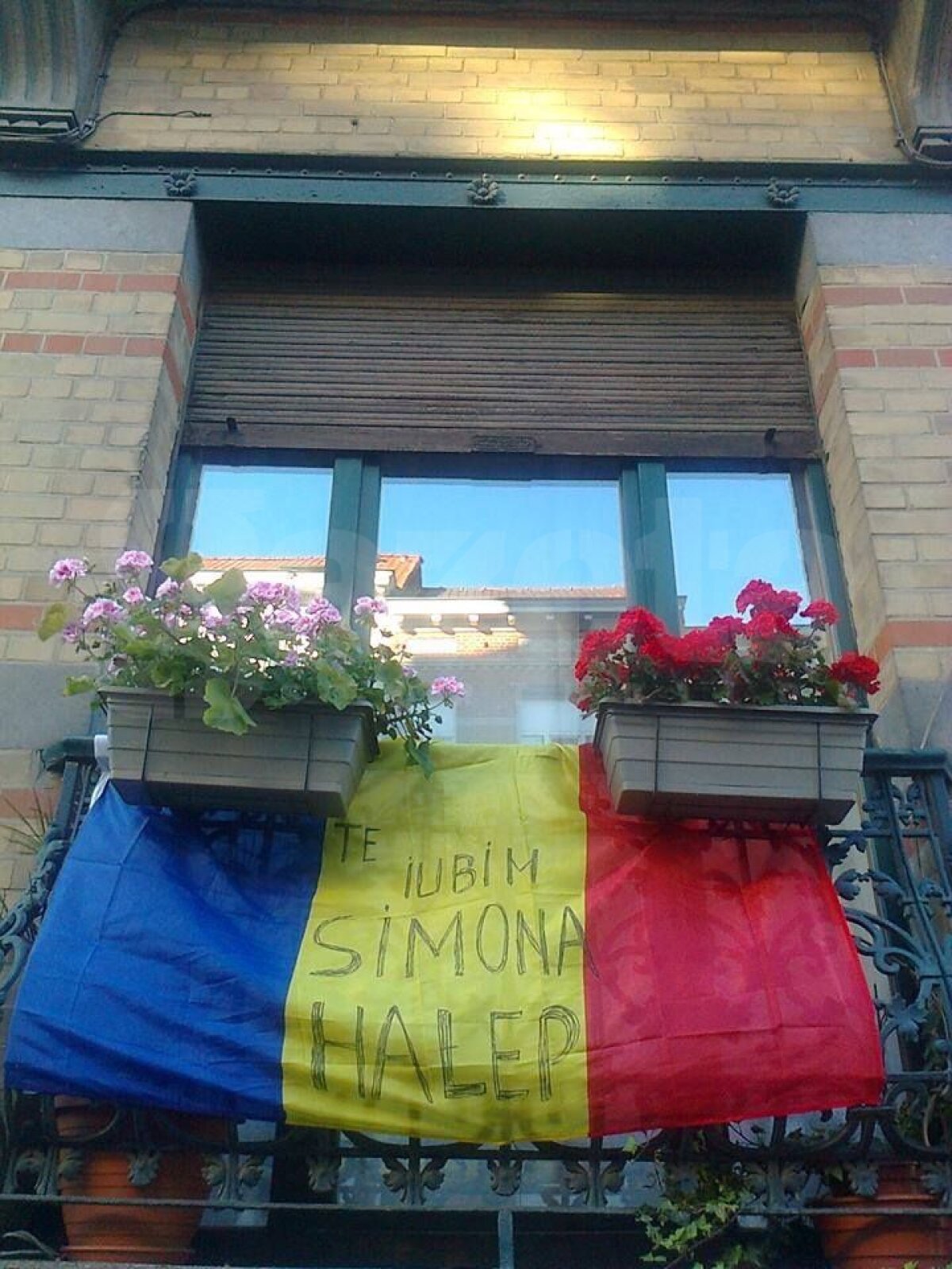 FOTOREPORTAJ Simona Halep, susţinuţă din toate părţile » Imaginile speciale ale unei zile de neuitat