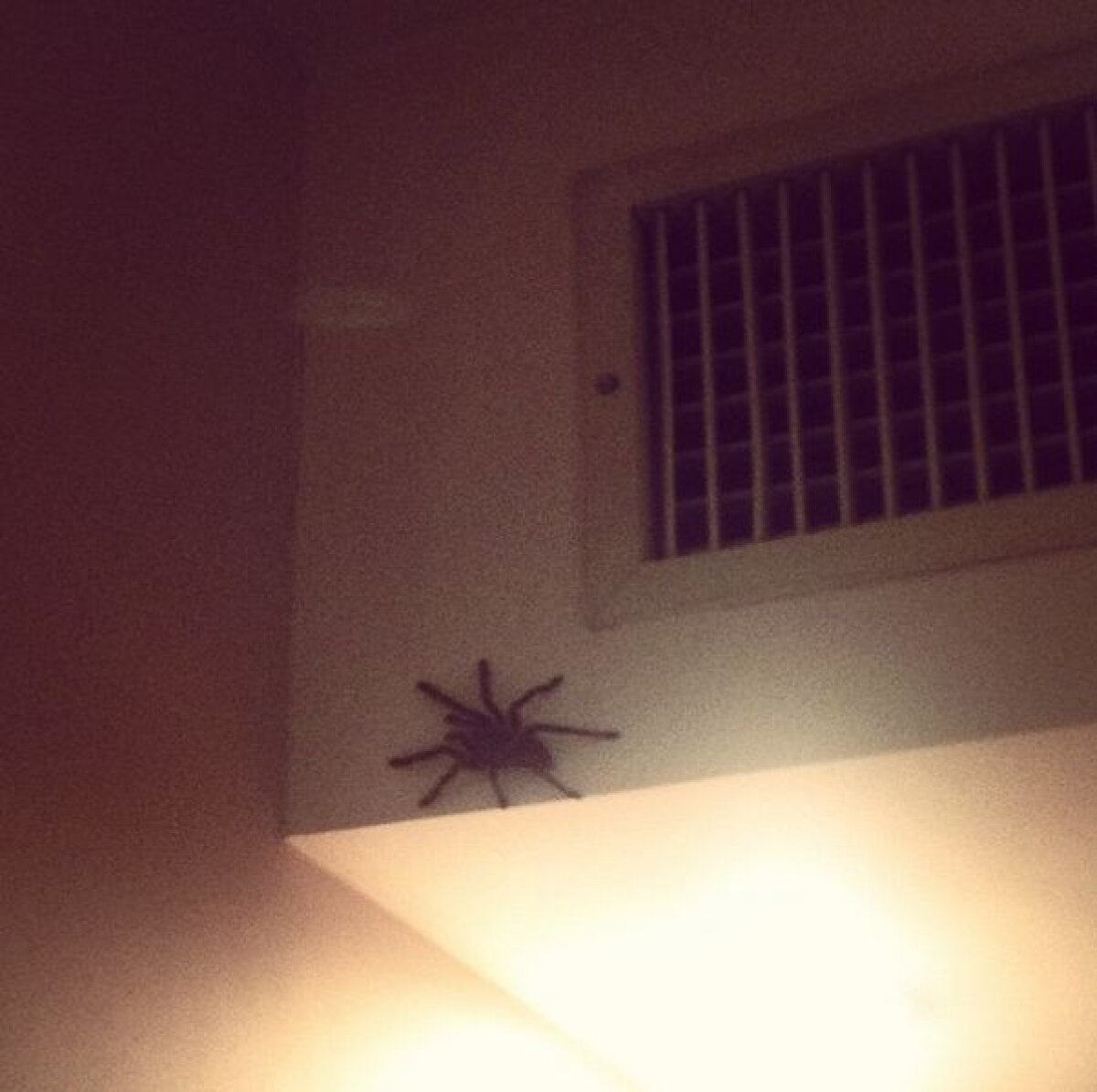 Poză-horror postată de un jucător de la Mondial! Ce a găsit pe peretele camerei de hotel din Brazilia: "Nu mai dorm în seara asta!" :O