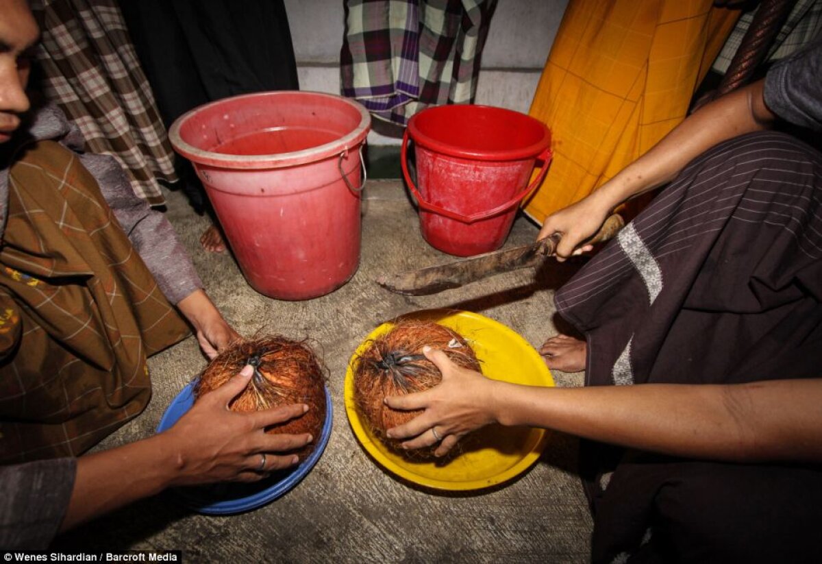 FOTO Studenţii din Indonezia au inventat un stil de fotbal excentric! Au jucat cu nuci de cocos îmbibate în kerosen, cărora le-au dat foc :O